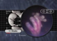 Fingers of the Left Hand