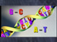 Estructura del ADN