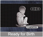 Play Movie - 9 months to Birth, ready for Birth