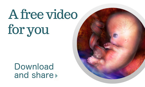 Your life before birth. A free video.