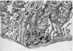 Reconstruction of ovum