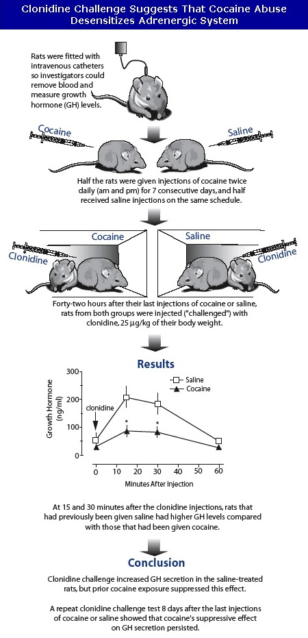 Clonidine Challenge Suggests That Cocaine Abuse Desensitizes Adrenergic System