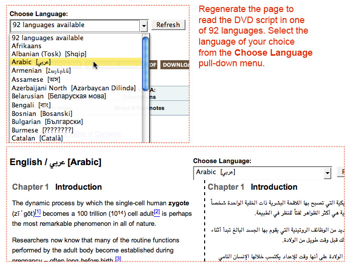 This image shows how to read the DVD script in one of 92 languages.