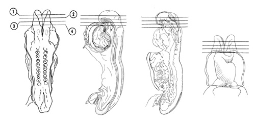 Fig 4-4 sideview