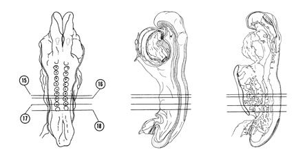 Fig 4-9 sideview