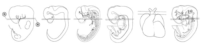 Fig 6-13 sideview