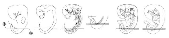 Fig 6-23 sideview