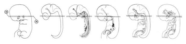 Fig 7-12 sideview