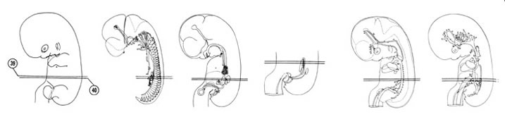 Fig 7-25 sideview