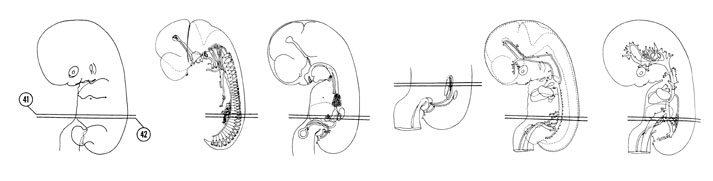 Fig 7-26 sideview