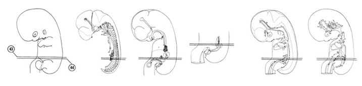 Fig 7-27 sideview