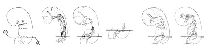 Fig 7-29 sideview