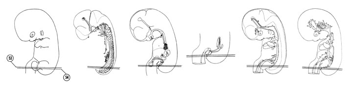 Fig 7-32 sideview