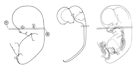 Fig 8-8 sideview