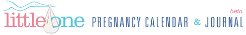 Little One Pregnancy Calendar & Journal