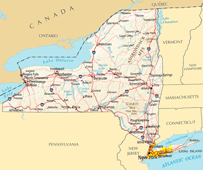 HEALTH - New York Demographic & Health Data