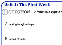 Screenshot showing a sample quiz question