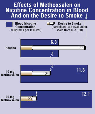 graph showing effects of methoxsalen on nicotine concentration in blood and on the desire to smoke