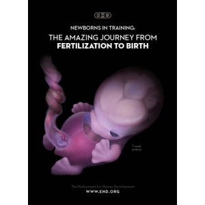 Newborns in Training: The Amazing Journey from Fertilization to Birth